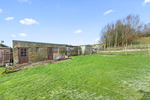 Photo 43- click for photo gallery